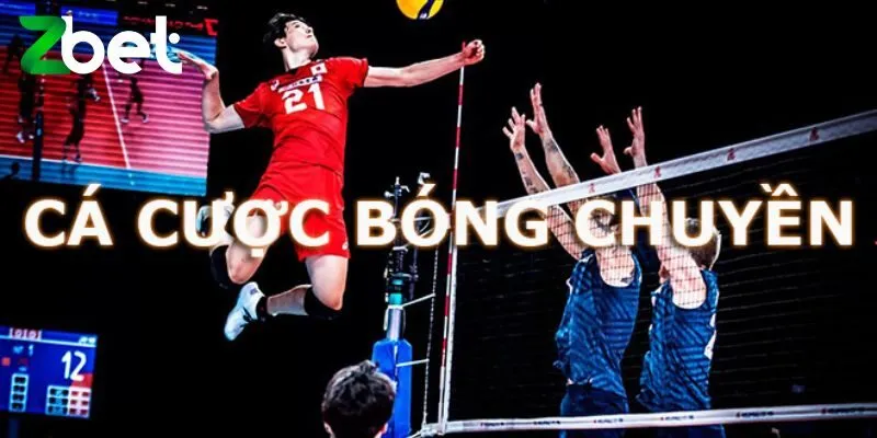 Giải nghĩa cá cược bóng chuyền là gì?