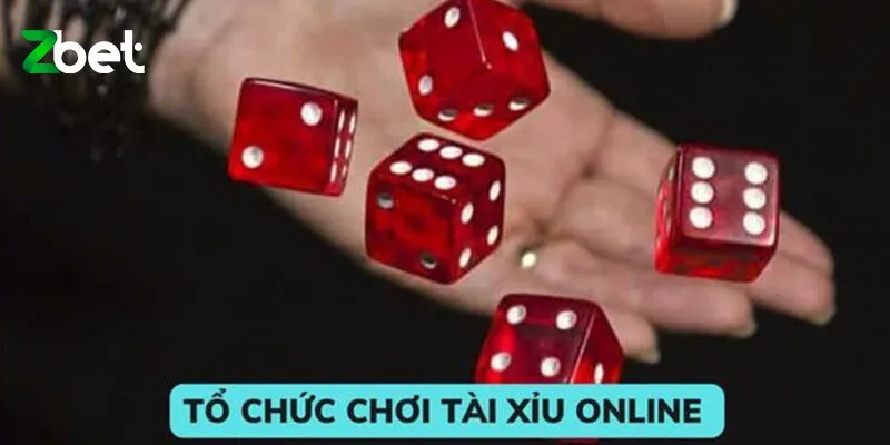 Hướng dẫn chơi tài xỉu nhập môn cho tân thủ