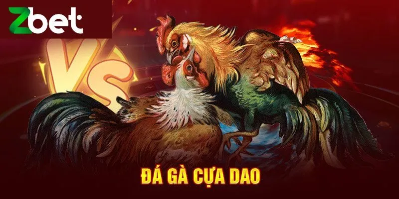 Các giống kê chiến góp mặt trong đá gà cựa dao tại Zbet