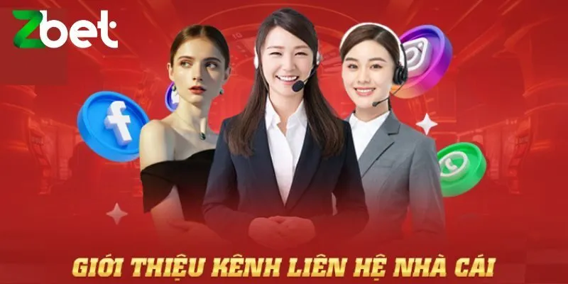 Lưu ý khi liên hệ Zbet
