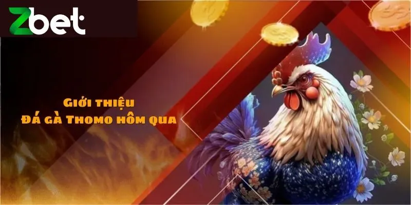 Bí kíp chơi đá gà dễ thắng từ cao thủ